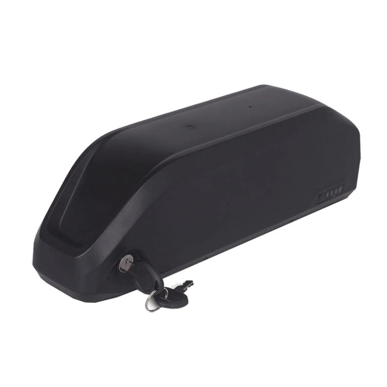 Polly DP6 ebike battery case