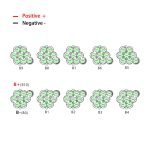 EEL MINI 36V nickel strip 10S4P